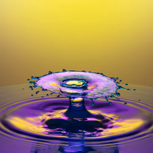 50347988261378196407957302611966700863018849611839872798074421244191102205953