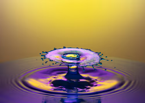 Item #50347988261378196407957302611966700863018849611839872798074421244191102205953 Media