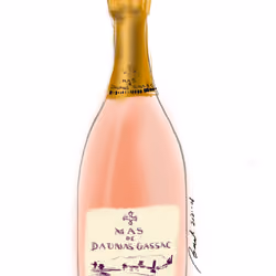 WineFiesta #3a - Mas de Daumas Gassac Rose Frizant 2019 Bottle Sketch