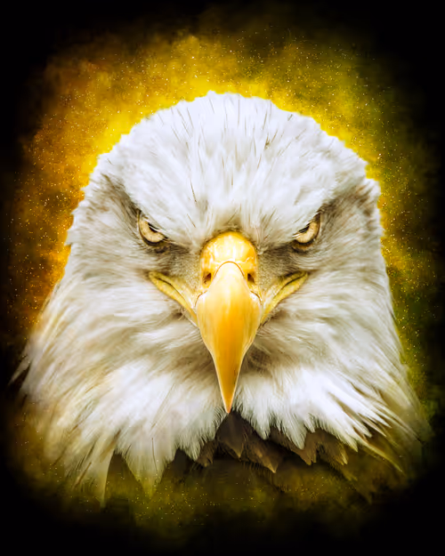 Item #48044010421302452796429908801463400032210755749653297728205729925547528552449 Media