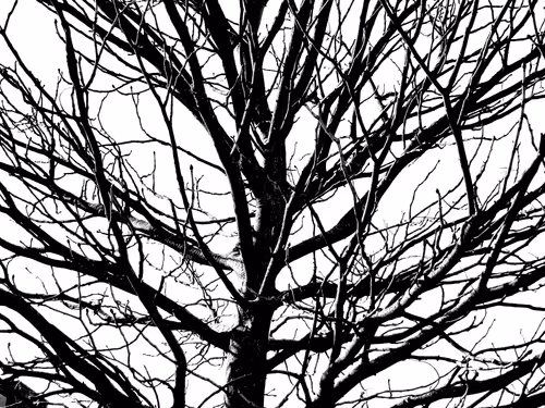 Item #13665938074563914331498291329920780757136253607588816979915017163962901856257 Media