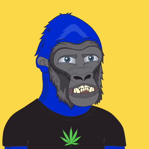 Item #17712372735685884316990920060912226399337154201344013505978093789360517283841 Media