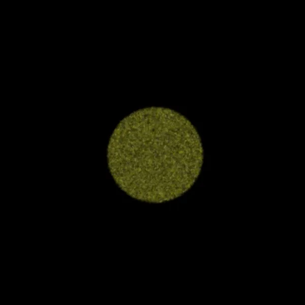 Physarum #222