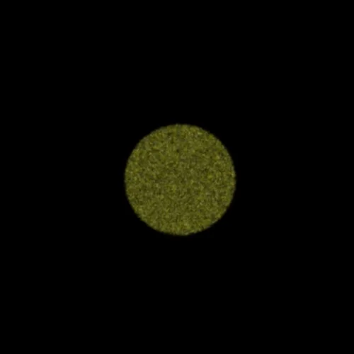 Physarum #222