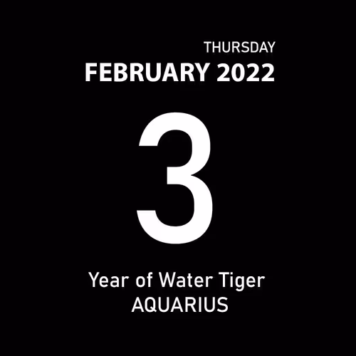 Item #23493173453805495352659612613343664375575490977702219882775072159333525487617 Media