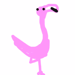 Flamingo