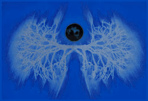 Item #108090653170621964456645493728269851346896231222605963189308647634093450723329 Media