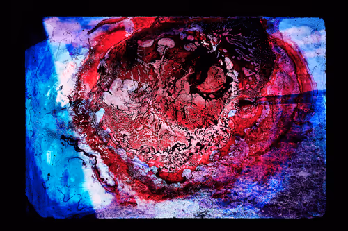 Item #63683007382590690870705769466796712887762102825100485238347681080959758761985 Media