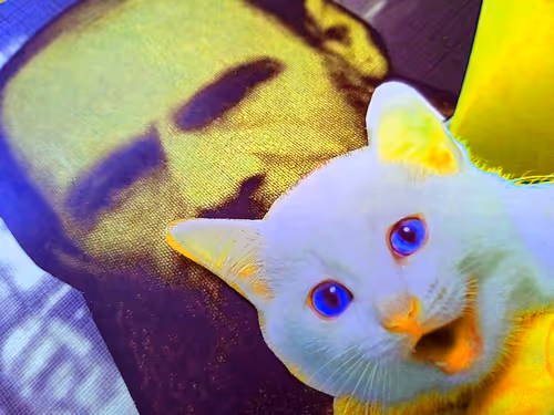 Item #4747115153065902387790593868107453782499677024781155622119190026885311496193 Media