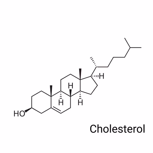 Item #64732396481221425237779336604136247156647002150051219445300180831538084052993 Media