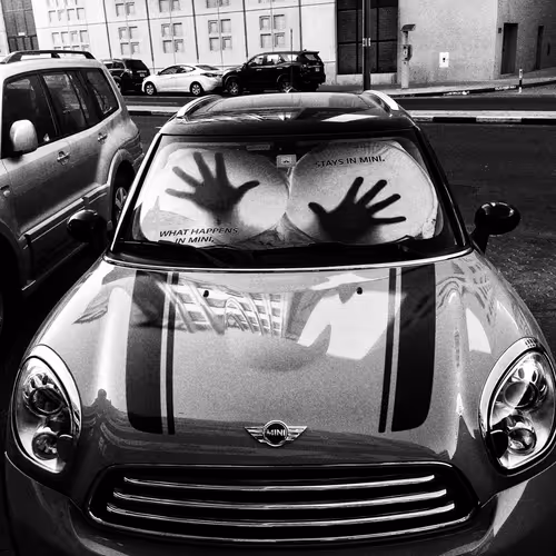 Item #83886518355349597778021909356356491703500961359452684167797568214819212886017 Media