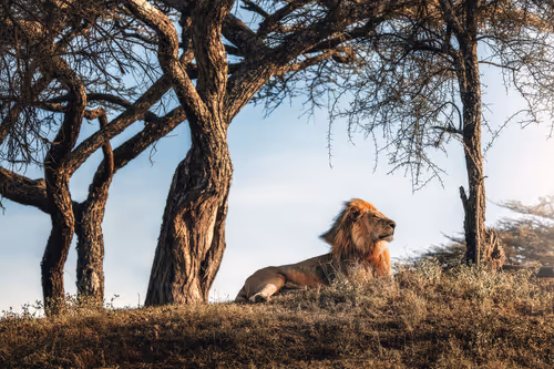 Item #46146454175190830687847236221543248864679735900060228179798027773701439619073 Media