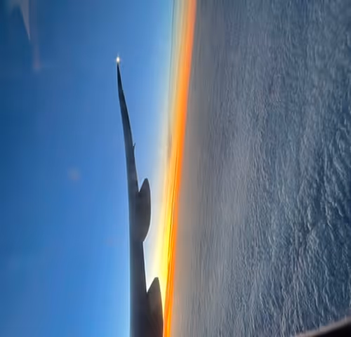 Untitled Collection #198566650 - old