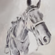7868994558059478733253527697717682001838655351329122908542803812996475781121