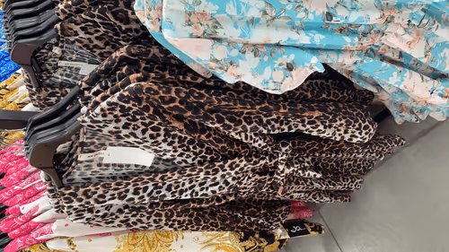 leopard