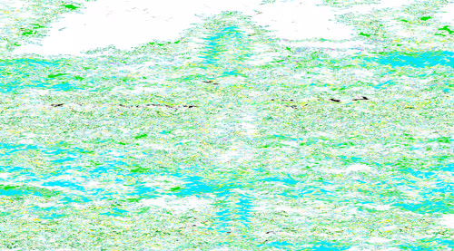 Item #54729893336574635721749314485117263877312010495368336354244301778970937917441 Media