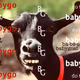 BabyGoat
