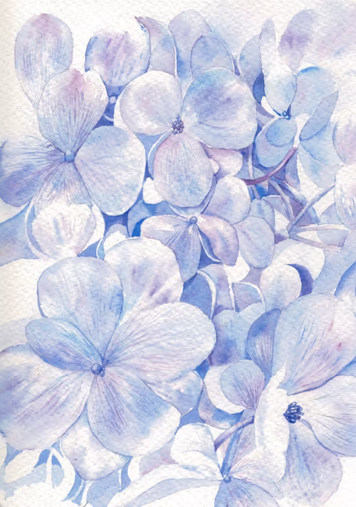 Item #63341019761798912323761506269950020235906074267949533583090727541742407516161 Media