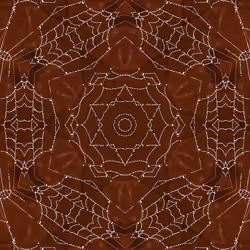 Web of Intention