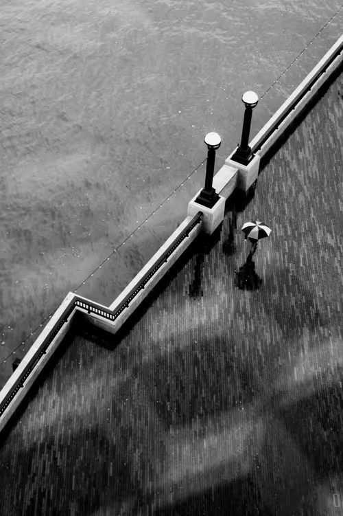 Item #17669670655008351248496382323612876252573131017050160141540695129019811627009 Media