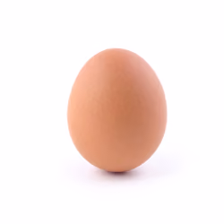 Egg #28