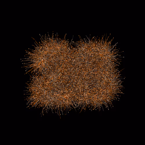 Item #31186271462743839332083495437684930572283654238385709344730710894835939672065 Media