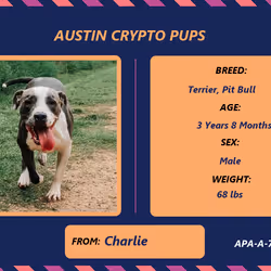 17951378556605612276483806045649535824451571419947225201384628510651989360641