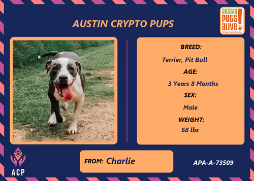 Item #17951378556605612276483806045649535824451571419947225201384628510651989360641 Media