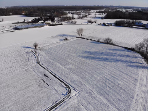 Item #65673385079006827995127602217814255888827299335708445878548645878839430348801 Media