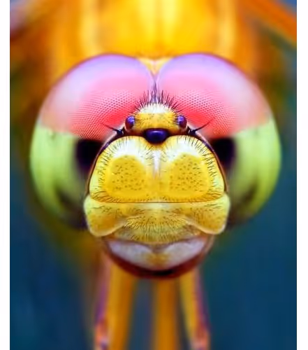 Untitled Collection #354905507