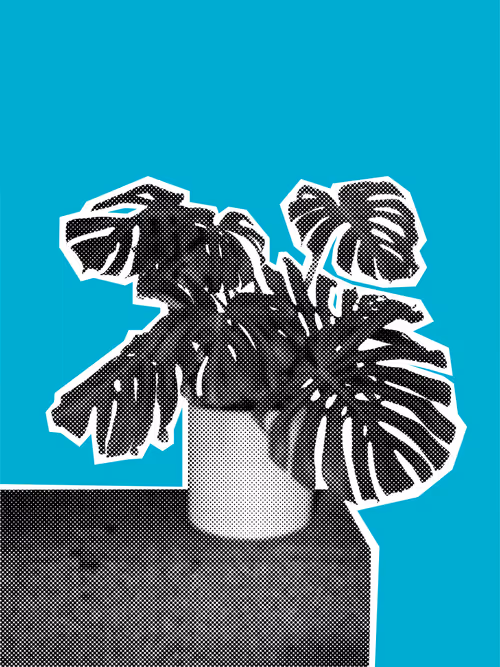 Item #25379124807980713745219244606437574046087384809022650852355167113719935139841 Media