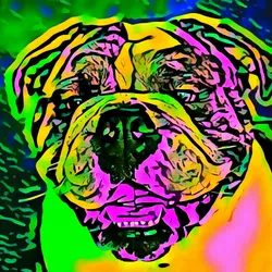 50830097462543580601473563981388698009005024090223633461481089500679856193537