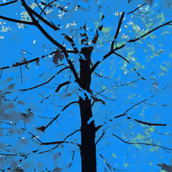 Fall of Autumn #8