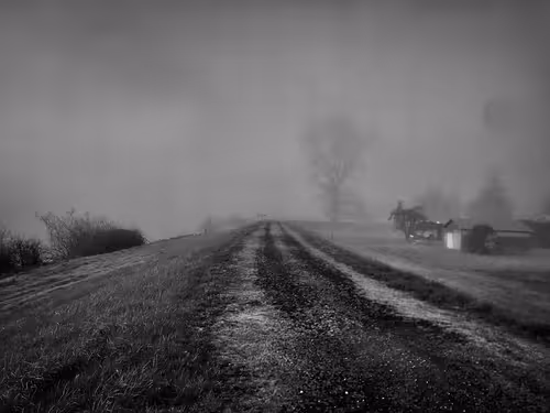 Item #84375876844769874995679511124378512056142188775641333661891558526435586998273 Media