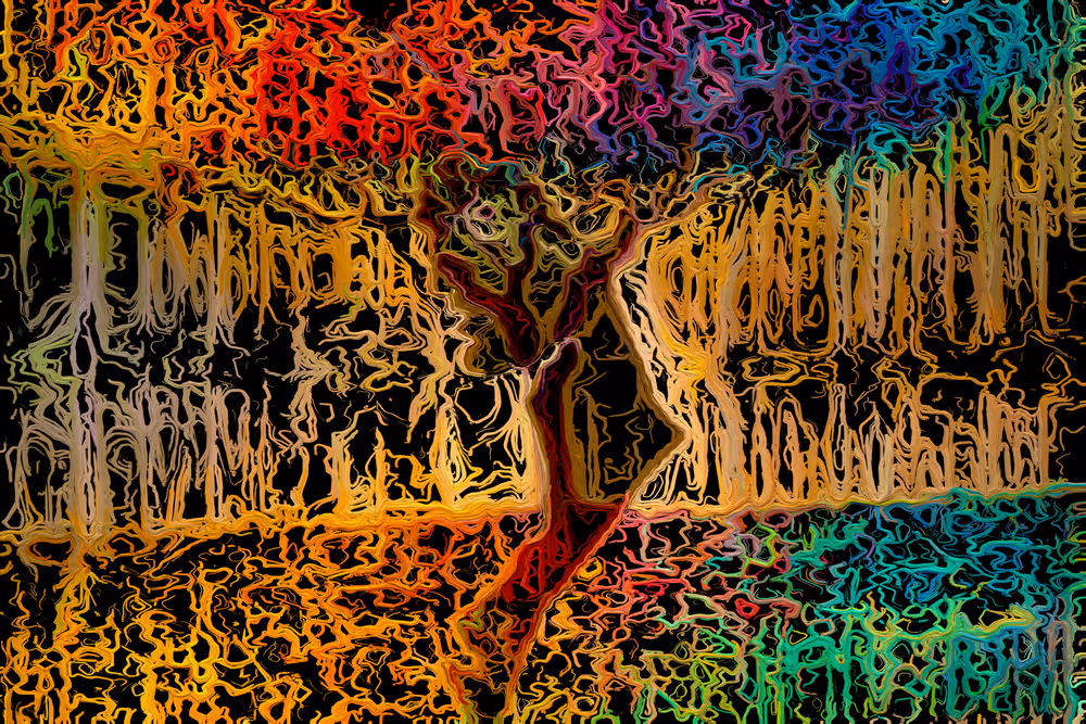 P a r e i d o l i a  7 (Single Edition)