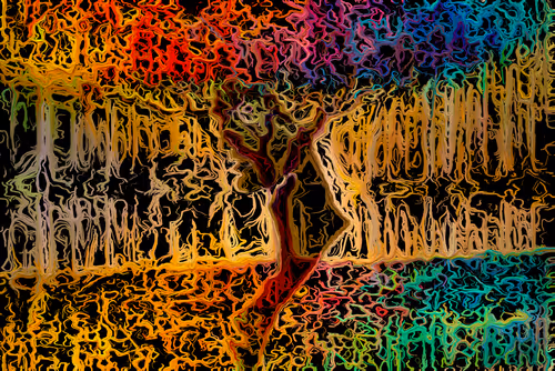 P a r e i d o l i a  7 (Single Edition)