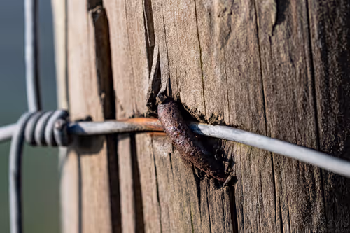 Item #73046461137275594948236189978077908200312084303724710694529697113475421044737 Media