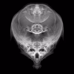 85859191866638808365331437874953228966785819470149775310971063283506598641665