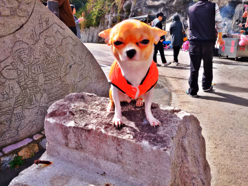 Item #15302775719274355672256911249162138837258661550744590229590932589893923110913 Media