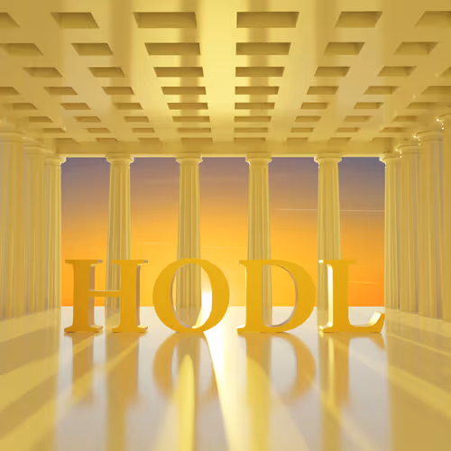 HODL 100