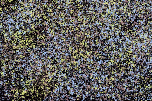 Item #944858660688572096584618472555991747686703840338442188877309666531198631937 Media