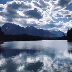 Reflection