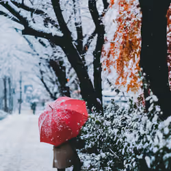 Under the umbrella - Vol.1 #1