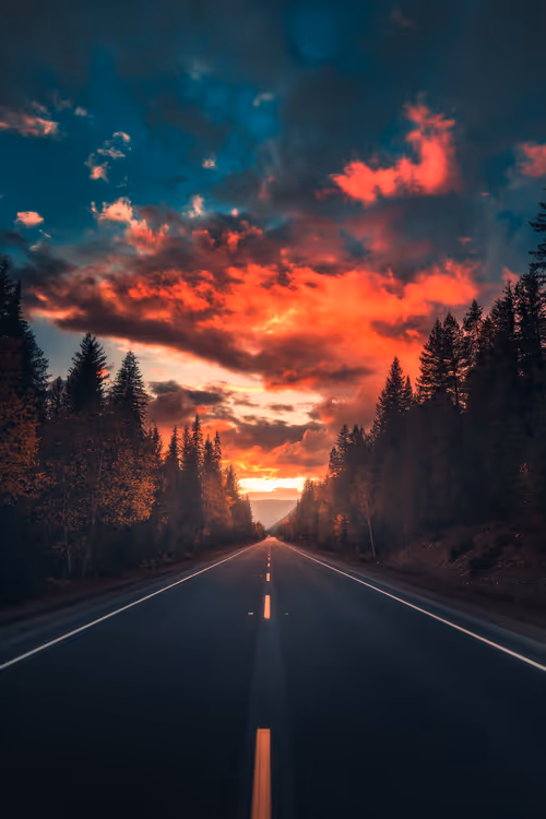 Item #62546128571173573861370652936856218284243546780344801453551937533311107203073 Media