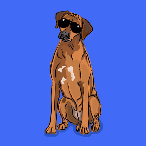 Item #76474225826514620480690138783239987552021970071941934033430511986168735727617 Media