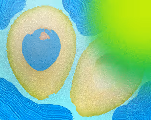 Item #83842155737933285357873813371510413453396247017039311211722984805975847862273 Media