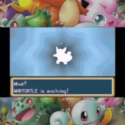 What? WARTORTLE is evolving! 