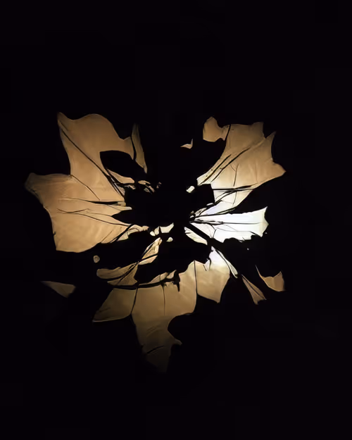 Item #52483136181237862615802415353626140358729312293332705384176179595803289976842 Media