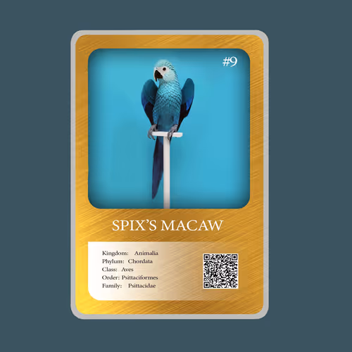 Item #20886832718642689244376634643648949640883698673827989316943493373875055493121 Media