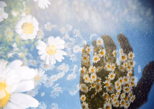 Item #42626720449793049245731240582970290857527864811431423741856946911588017766401 Media